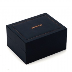 luxury watch box